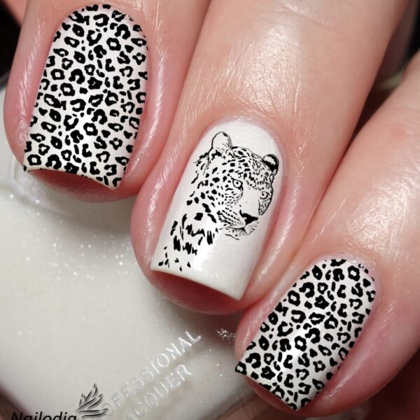 Wild And Stylish: Nail Designs Cheetah Print For A Fierce Look!